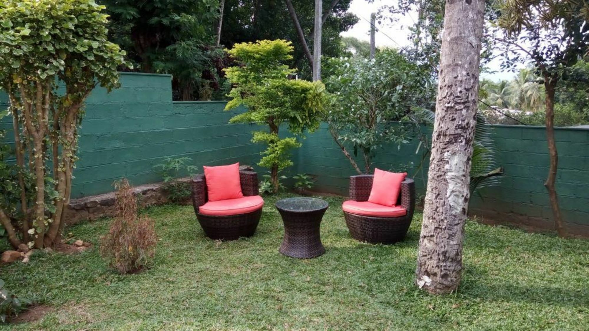 La Sachara Bed and Breakfast Kandy Eksteriør billede